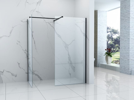 SPRCHOVÁ STENA PALMER WALK-IN DOUBLE 2-DIELNA 80x200 120x200 TRANSPARENTNÁ ČIERNA